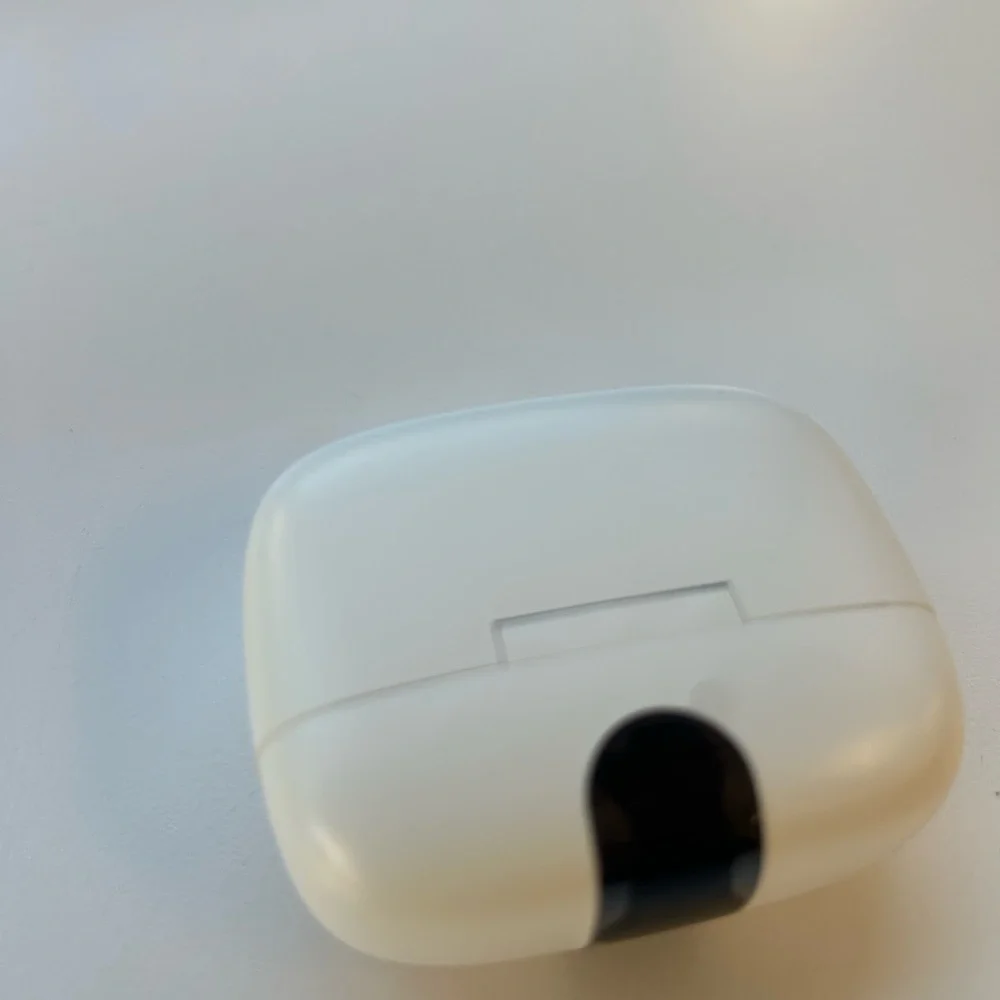 True Wireless Earbuds - Silver and White